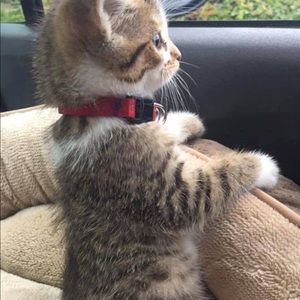 Meet your Posher, Deanna